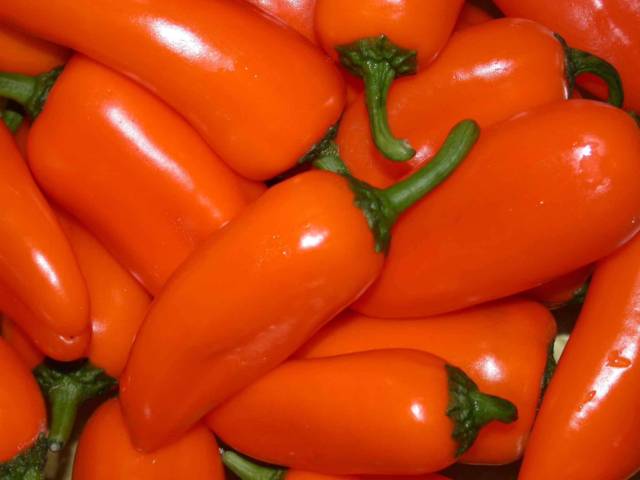 pile of orange peppers