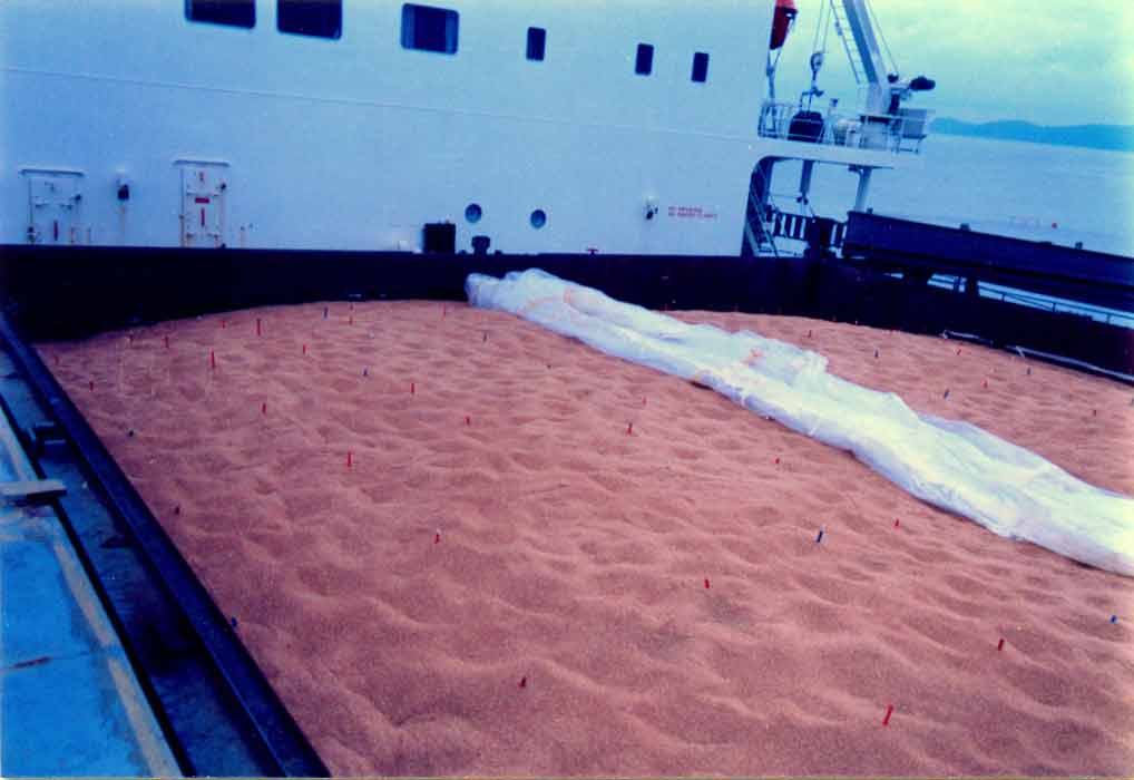 Vessel fumigation