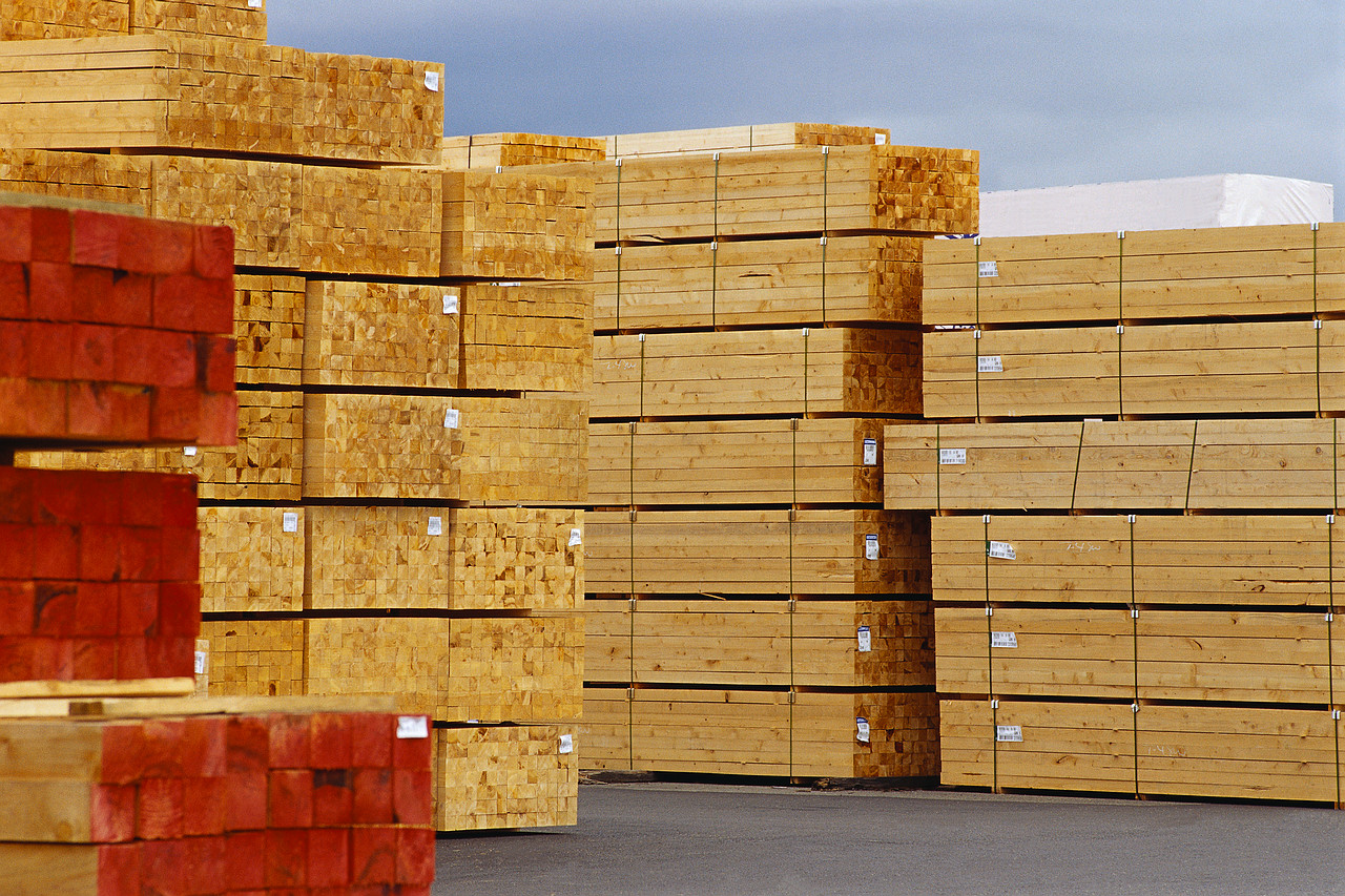 wood pile